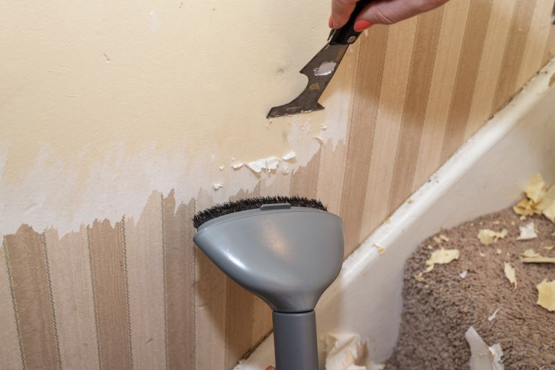 Using professional tools for wallpaper installation